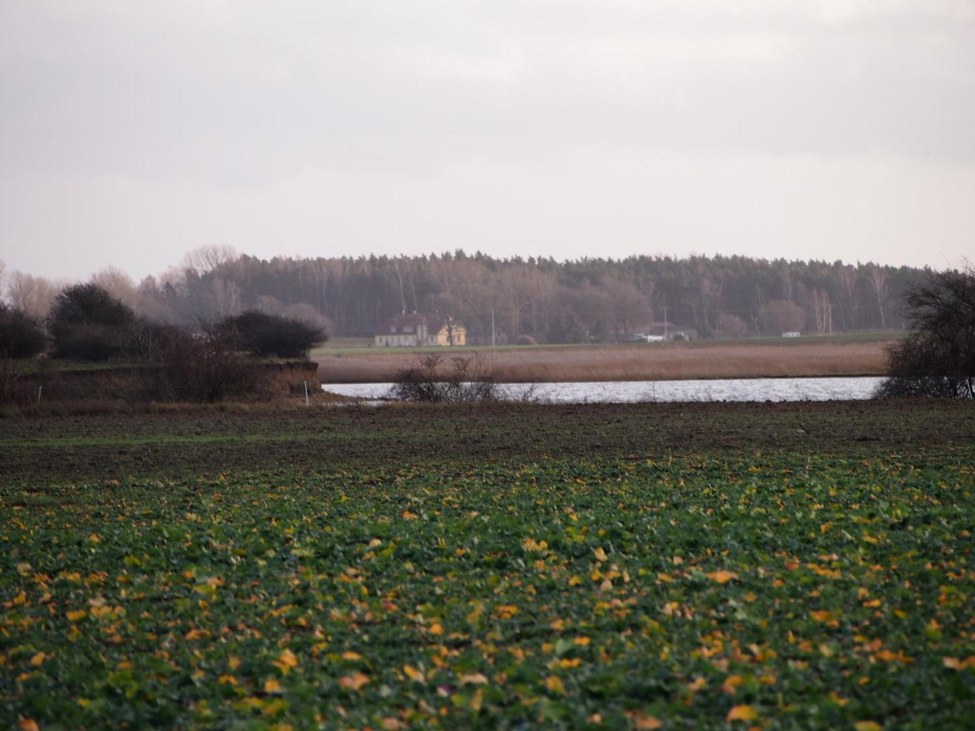 Ferienhaus Gut Rattelvitz Insel Ruegen 깅슈트 외부 사진